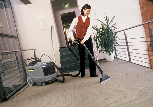 Professional Carpet Cleaner - view bigger image